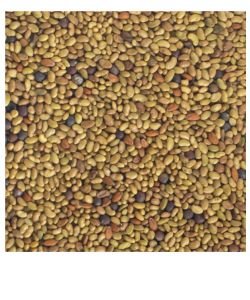 Seeds germinate - Alfa / Cresson / Red Cabbage BIO, 150 g